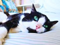 Charlie (3)